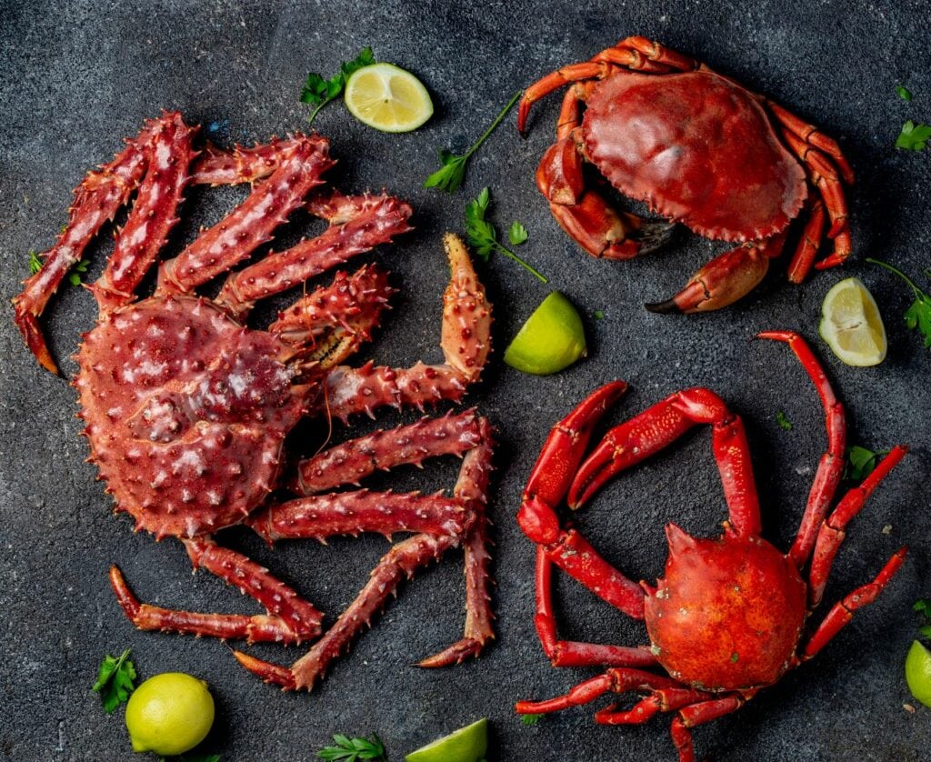 Meeresfrüchte – Meisterlich genießen